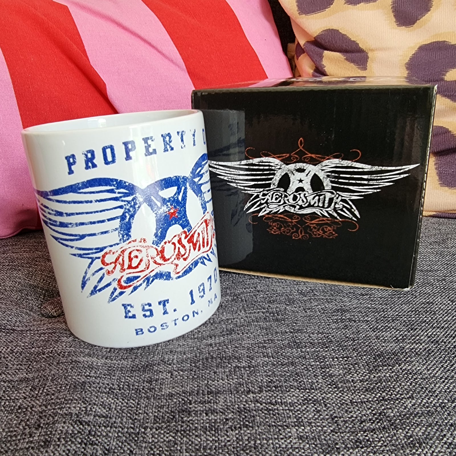 Aerosmith Boxed Mug